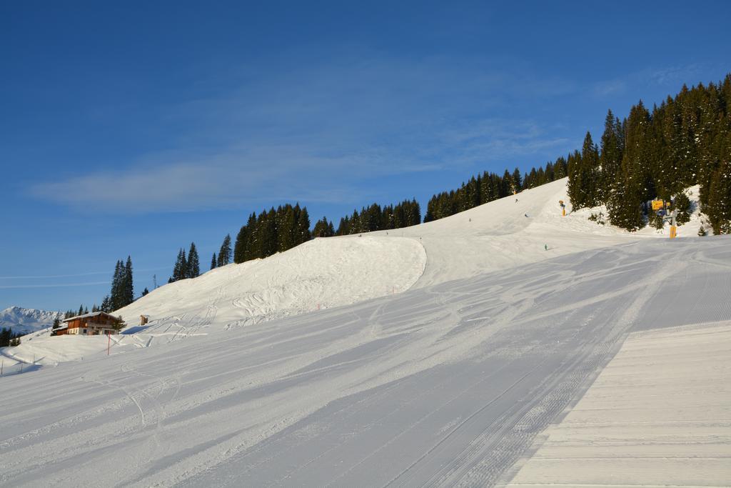 Wallegg Lodge - Alpine Premium Chalet - Ski In-Ski Out - Real Alpine Location Saalbach Buitenkant foto